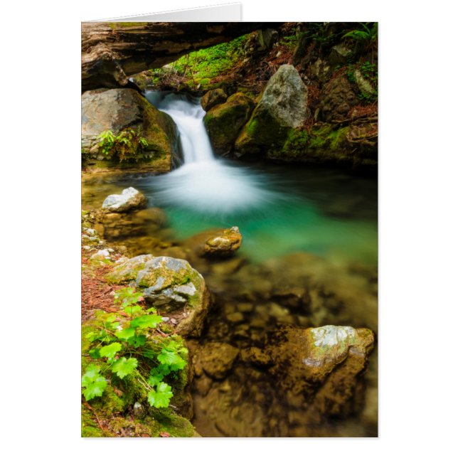 Cascada en Hare Creek, California (Frente)