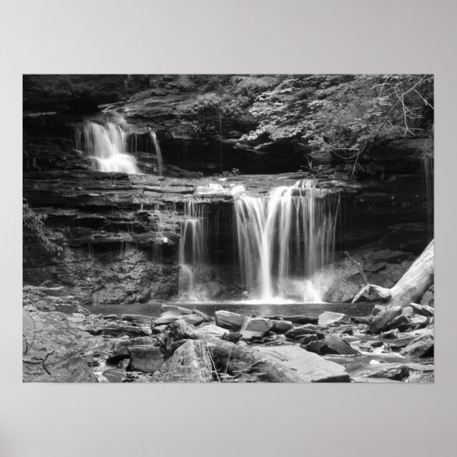 Cascada en la impresión en blanco y negro (Frente)