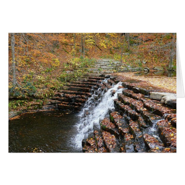 Cascada en Laurel Hill State Park II (Anverso (Horizontal))