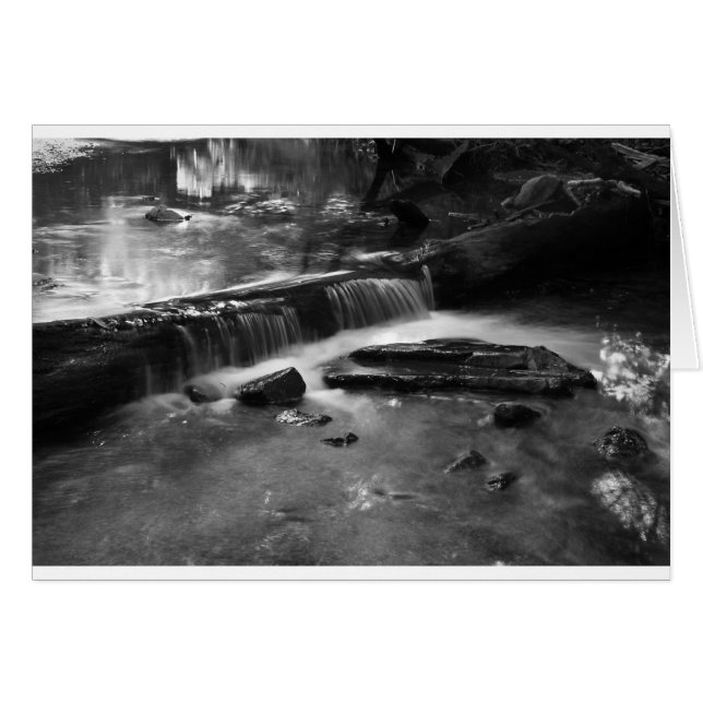 Cascada en mono (Anverso (Horizontal))