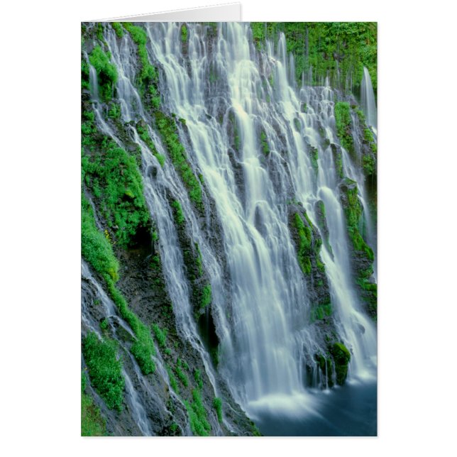 Cascada escénica, California (Frente)