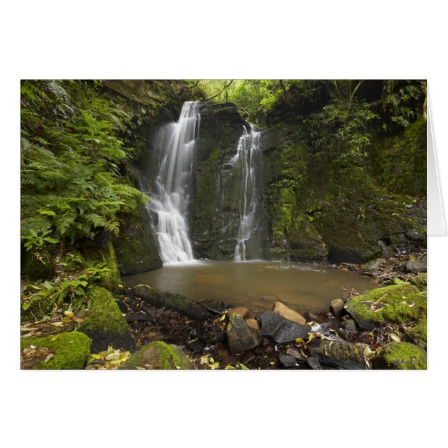 Cascada Horseshoe, Cataratas Matai (Anverso (Horizontal))
