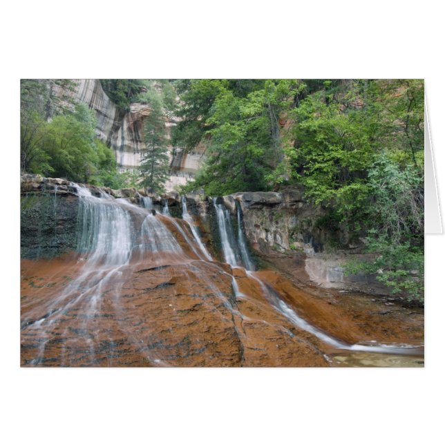 Cascada, Parque Nacional de Zion, Utah, Estados Un (Anverso (Horizontal))