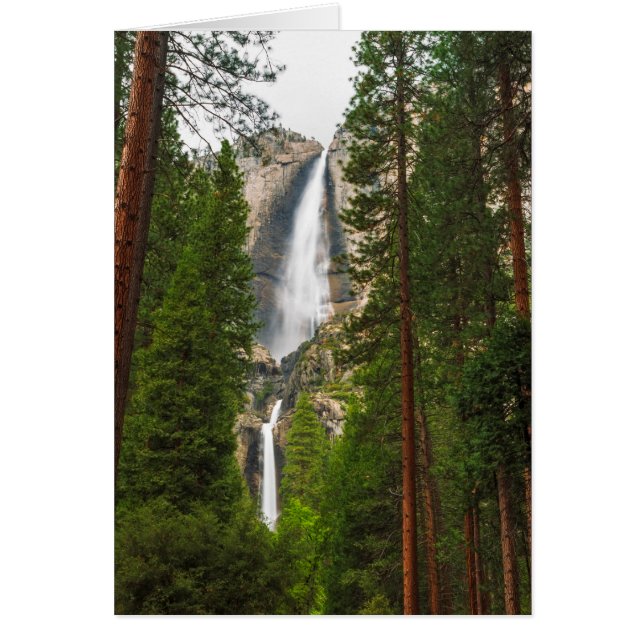 Cascada Yosemite a través del bosque (Frente)