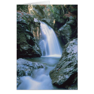 Cascadas # 100