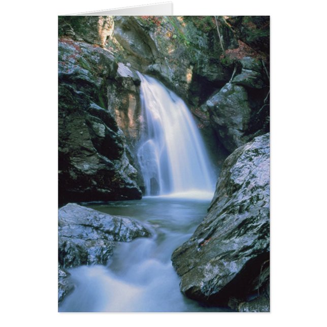 Cascadas # 100 (Frente)