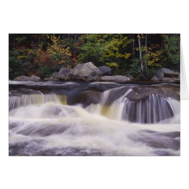 Cascadas, Carretera Kancamagus, Blanco (Anverso (Horizontal))