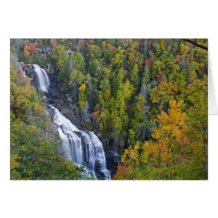 Cascadas de Whitewater en el Nantahala Nacional