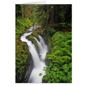Cascadas Sol Duc en el Parque Nacional Olímpico en