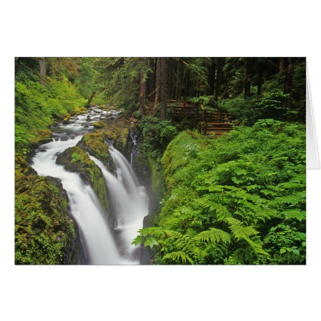 Cascadas Sol Duc en el Parque Nacional Olímpico en (Anverso (Horizontal))