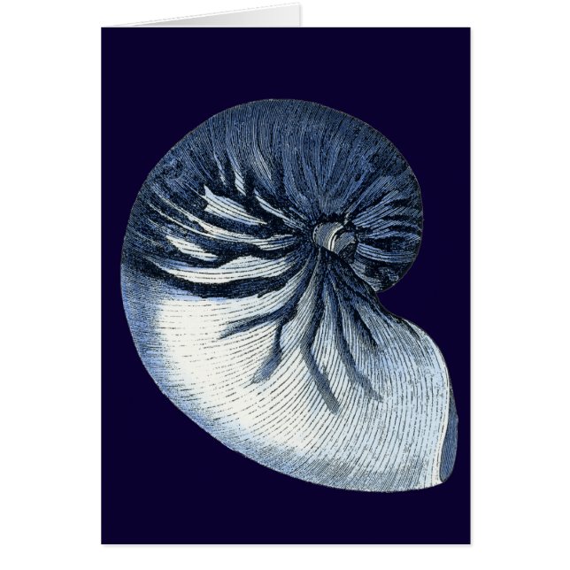 Cáscaras de índigo VII (Frente)