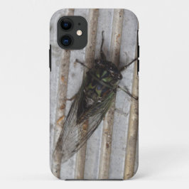 Cicada insecto en la funda de tu teléfono