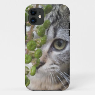 Esconder un Funda de Kitten EYE-Phone 5