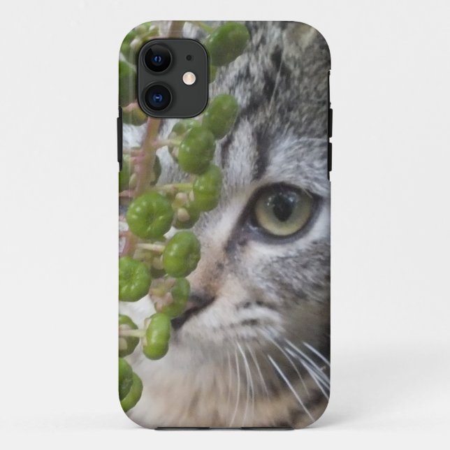 Case-Mate Para iPhone Esconder un Funda de Kitten EYE-Phone 5 (Reverso)