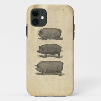 Funda de cerdos de época