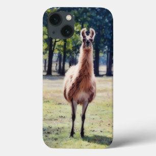 Para iPhone 13 Funda de teléfono con arte de animal salvaje Llama
