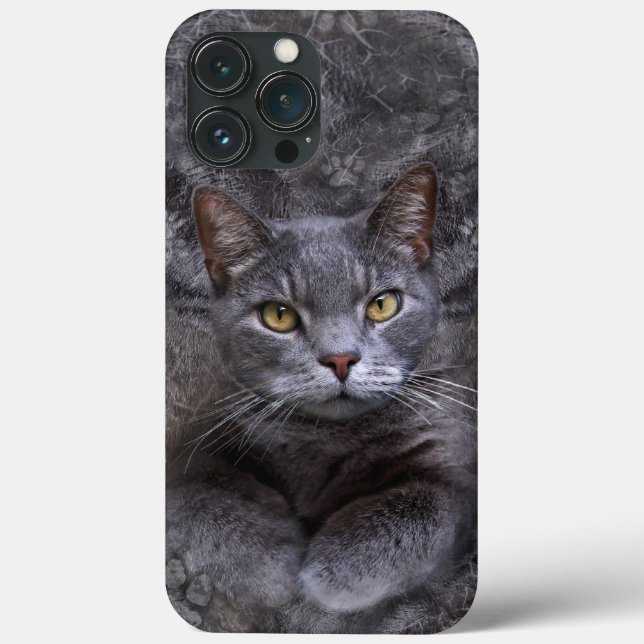 Case-Mate Para iPhone Funda de teléfono de gato gris  (Reverso )