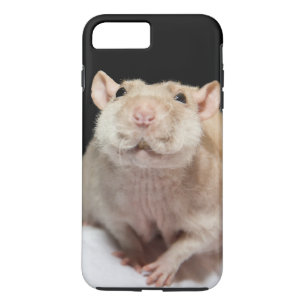 Funda de teléfono de rata