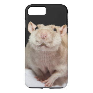 Funda de teléfono de rata