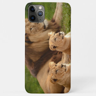 Para iPhone 11 Pro Max Funda de teléfono del león majestuoso: animal auda