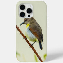 Funda de teléfono Nature Bird