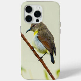 Para iPhone 15 Pro Max Funda de teléfono Nature Bird