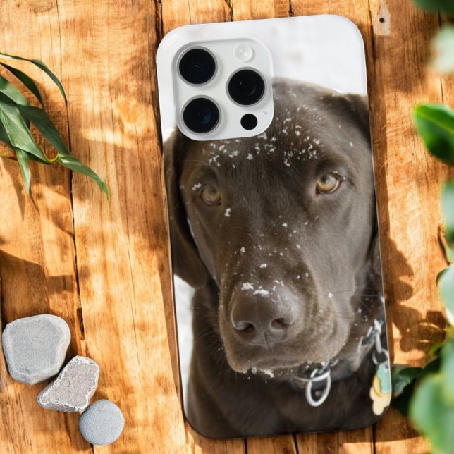 Case-Mate Para iPhone Nieve dorada salpicada de chocolate Labrador Funda (iPhone case back chocolate Labrador photo)