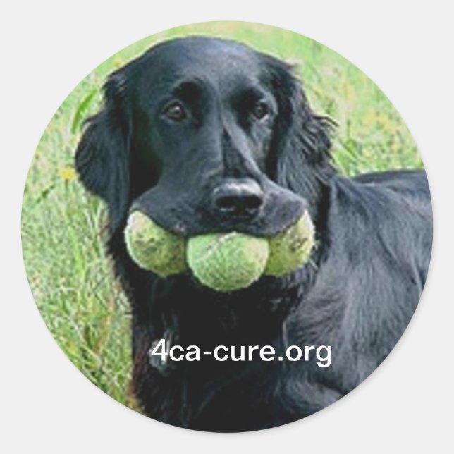 Casey Pegatina (Anverso)