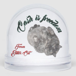 Cash is Freedom by RoseWrites Snow Globe