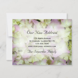 Casi rosa Hydrangea Nueva Invitación de direccione