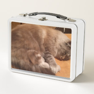 Casilla para el almuerzo del gato