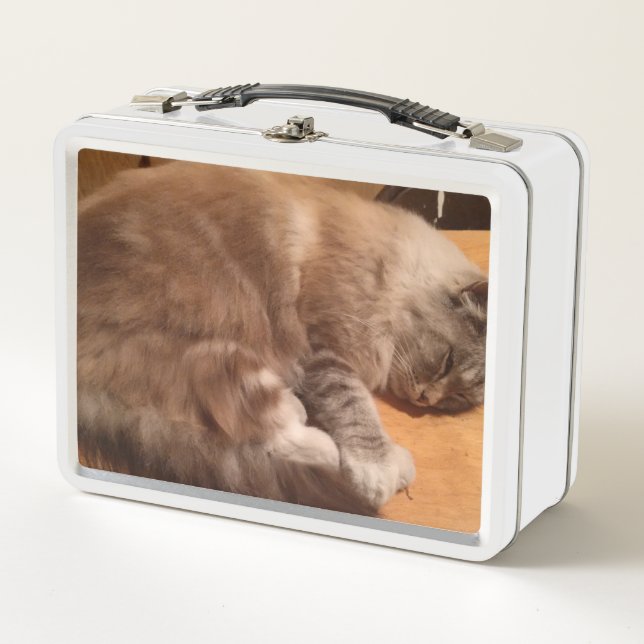Casilla para el almuerzo del gato (Anverso)