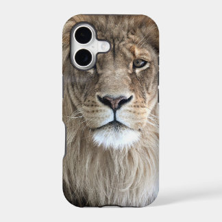 Caso del iPhone 5 del rey del león