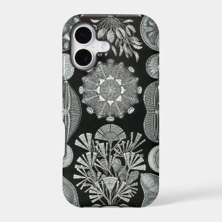 Caso del iPhone de Haeckel - Diatomea