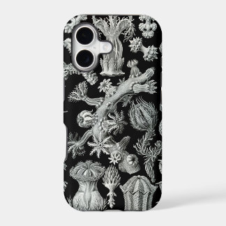 Caso del iPhone de Haeckel - Gorgonida