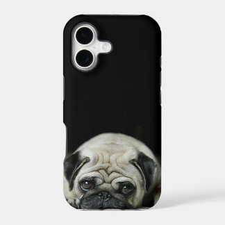 caso triste del iphone 5 del barro amasado