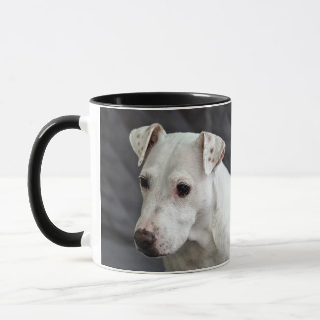 Casper la taza de café del perro (Izquierda)