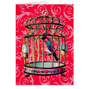 Casqueta de pájaros