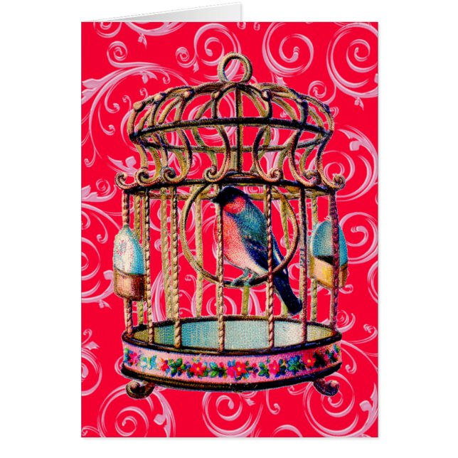 Casqueta de pájaros (Frente)