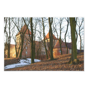 Castillo de Orden Teutónico de Neidenburg - Foto