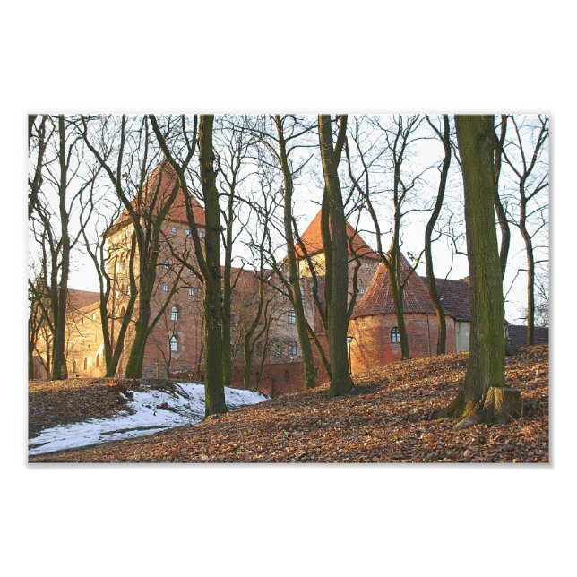 Castillo de Orden Teutónico de Neidenburg - Foto (Frente)
