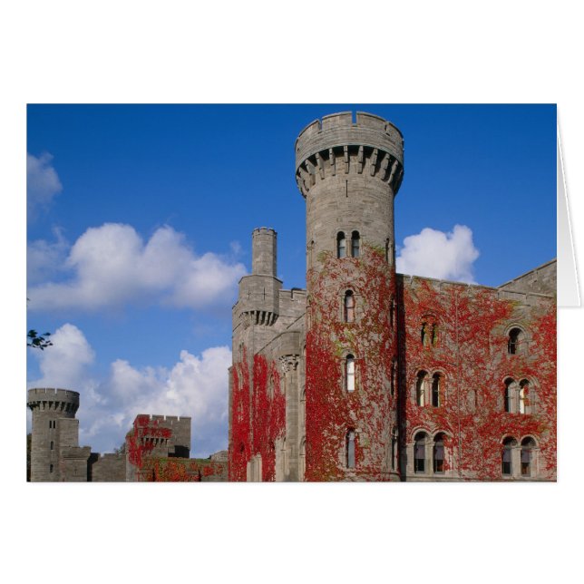 Castillo de Penrhyn, Gwynedd, Gales 3 (Anverso (Horizontal))