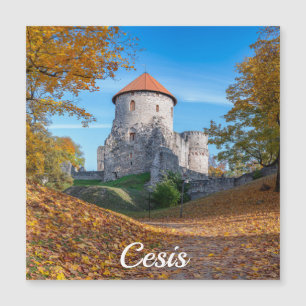 Castillo medieval rodeado por un imán forestal