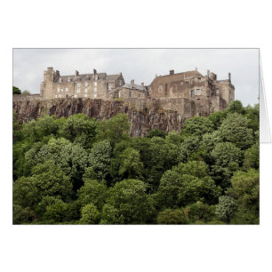 castillo verde agitador