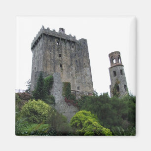 Castillo y torre, corcho, imán de la lisonja de