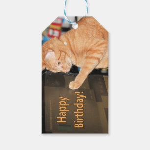 cat・a・stroph・cumpleaños ic no permitido etiqueta d