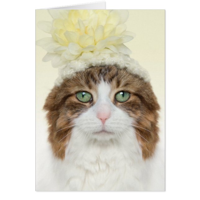 Cat Con Gorra De Flores (Frente)