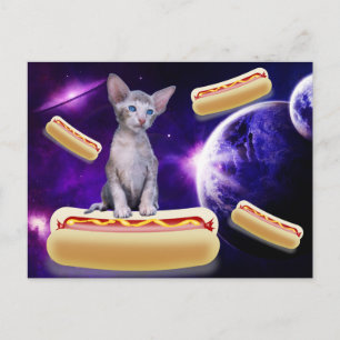 CAT EN EL ESPACIO CON POSTAL DE PERROS CALIENTES