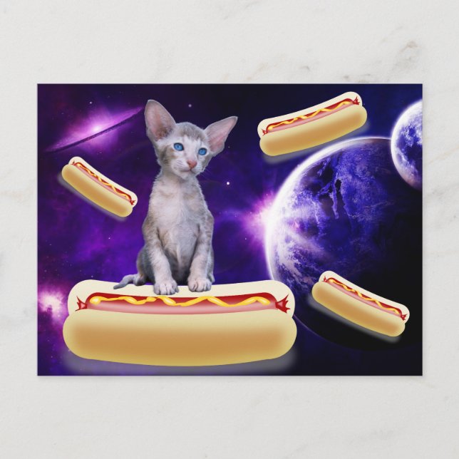 CAT EN EL ESPACIO CON POSTAL DE PERROS CALIENTES (Anverso)