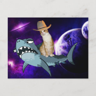 CAT EN EL ESPACIO CON TARJETA POSTAL DE TIBURÓN